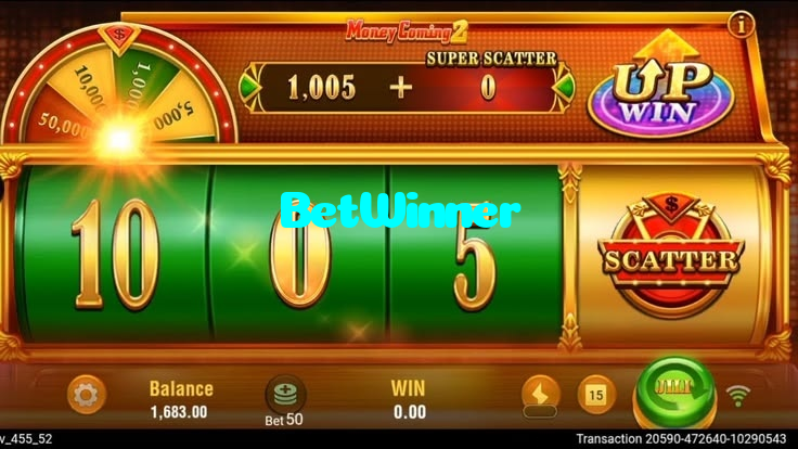available types of BetWinner bet including pre-match live express and system bets